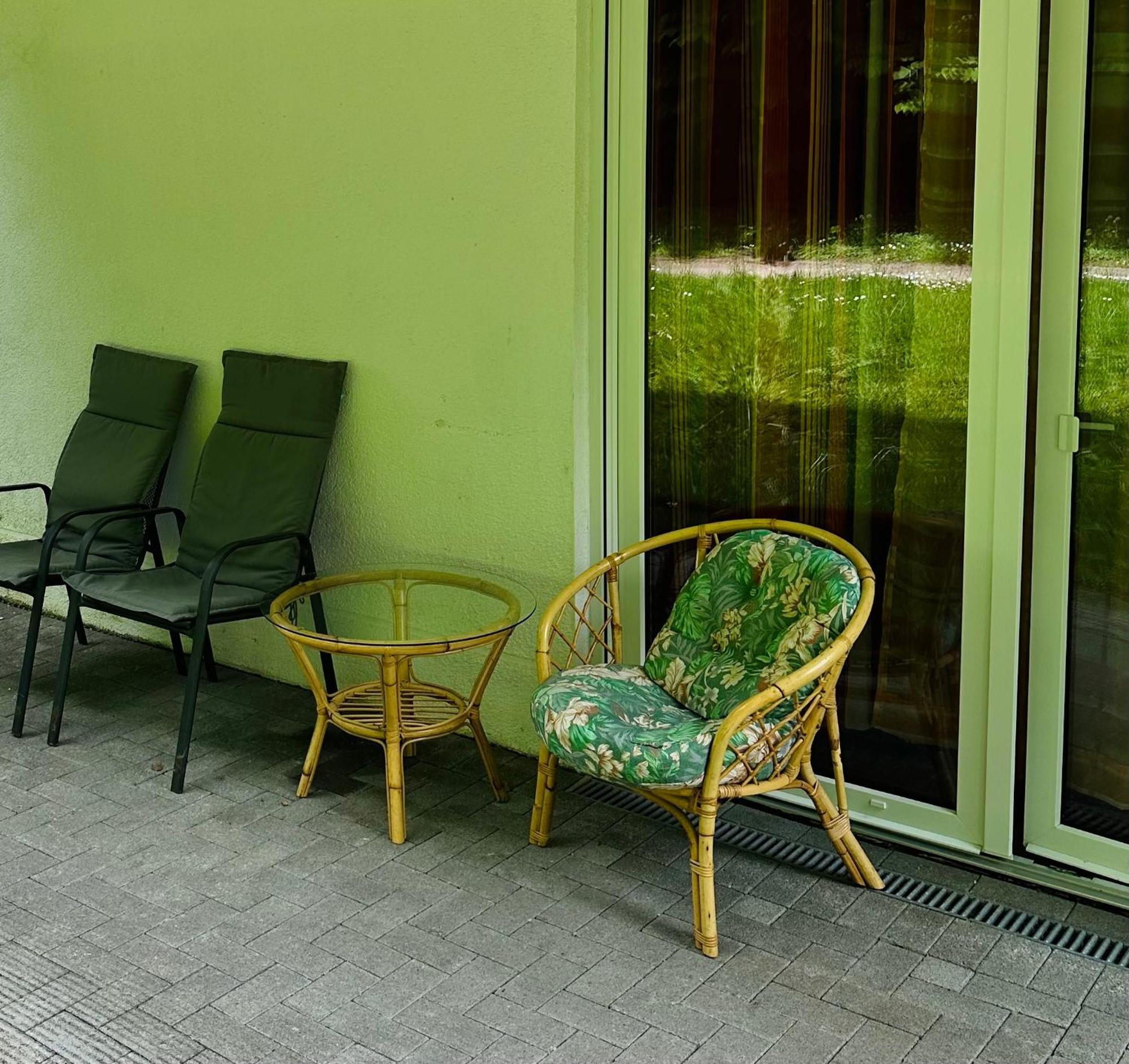 Westfalenpark Apartment With Terrace Dortmund Exteriör bild